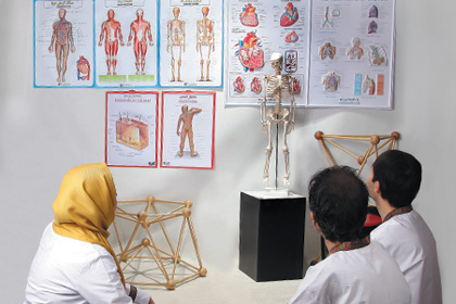 آموزش آناتومی و فیزیولوژی
